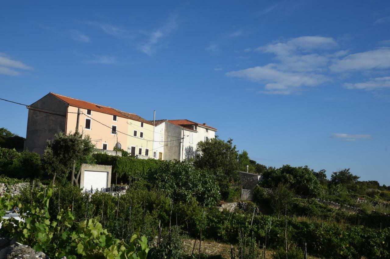 Accommodation Lily Vrana  エクステリア 写真
